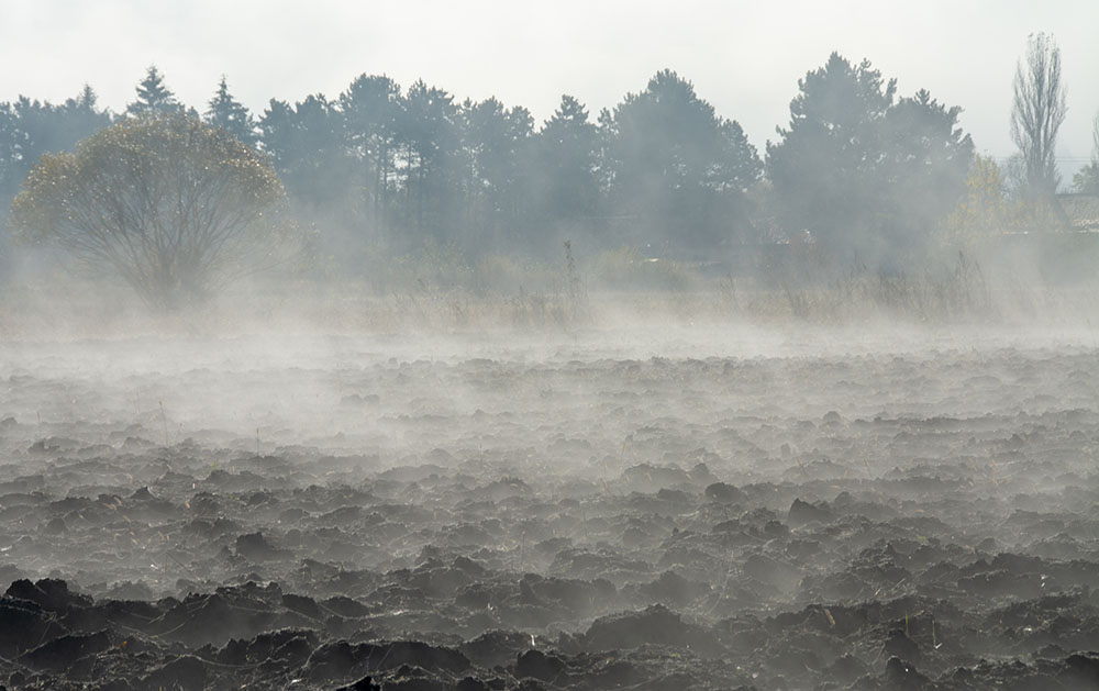 Up to 25–50% of irrigation water is lost to evaporation — UN FAO