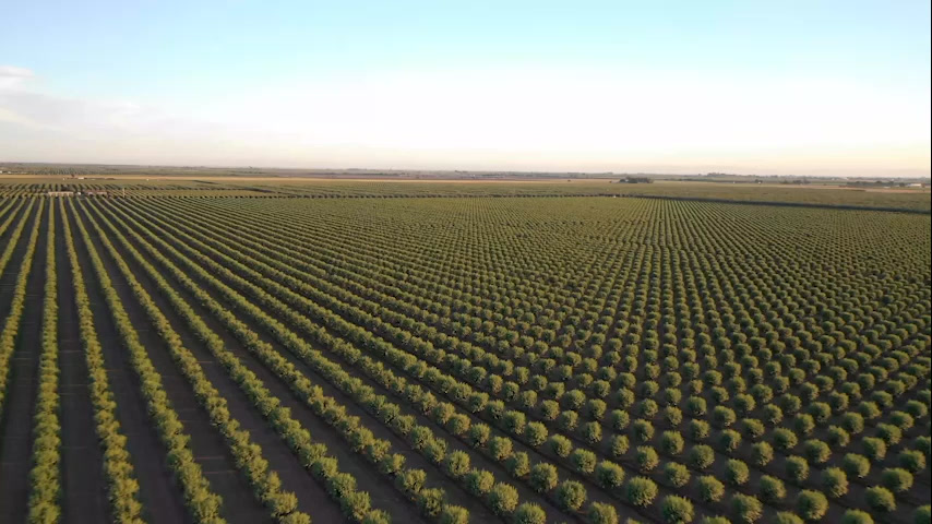 Canadian agriculture